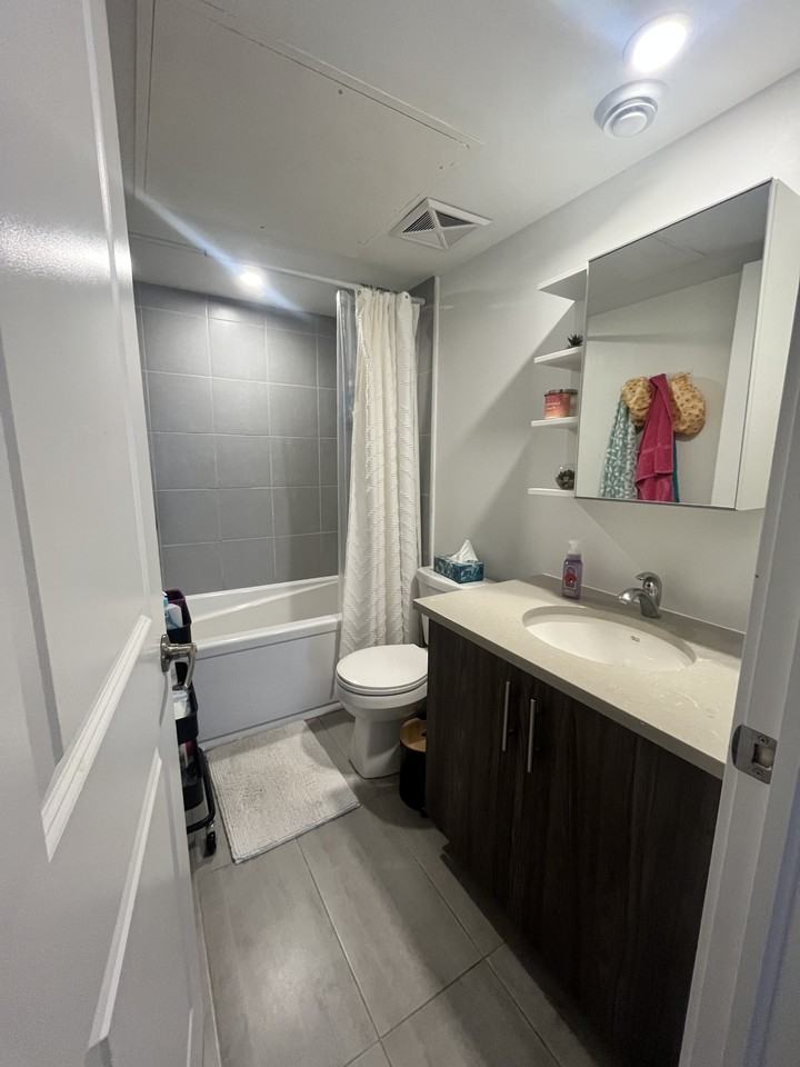 296 Somerset Street East - Photo 7 of 8