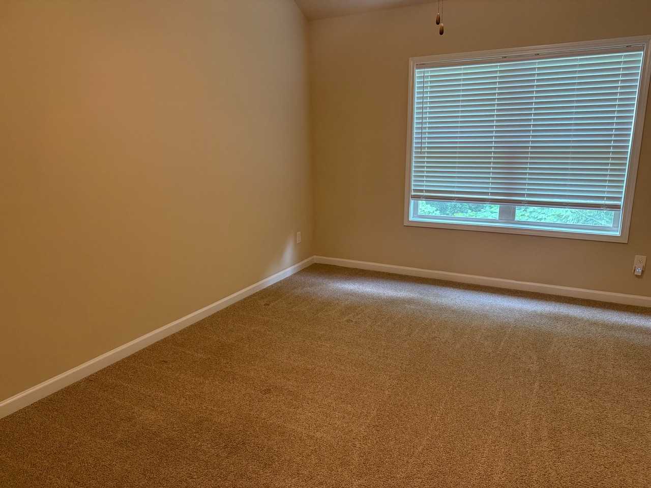 213 Camellia Ct - Photo 7 of 8
