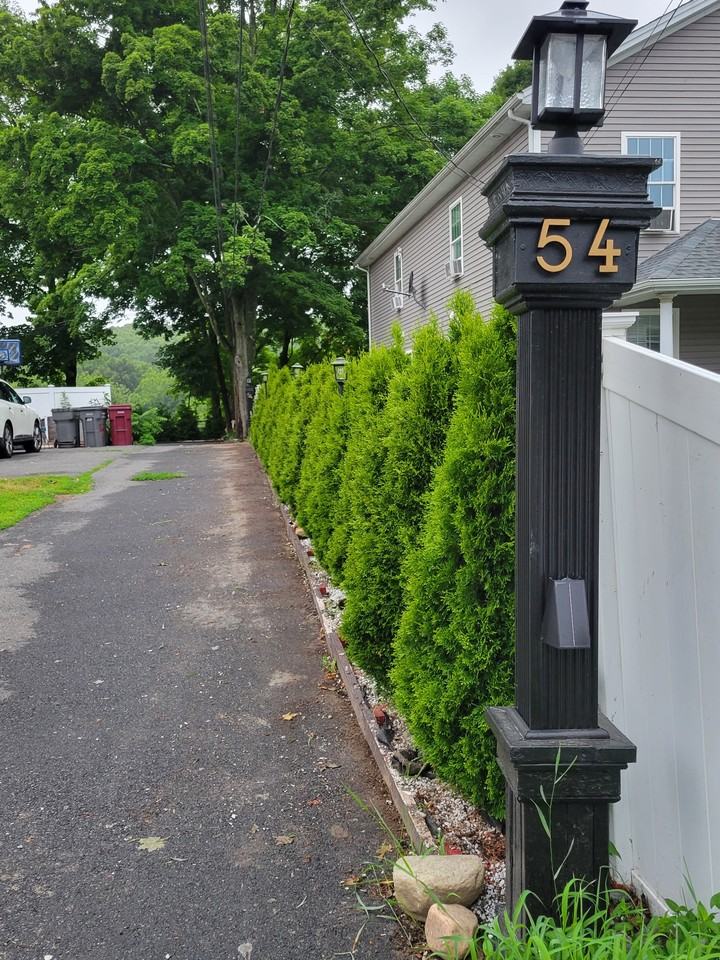 54 Golden Hill St #3 - Photo 3 of 27