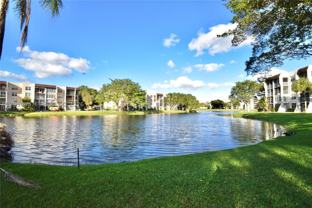 9311 Orange Grove Dr #411 - Photo 1 of 1