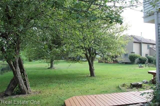 44777 Saltz Rd - Photo 3 of 50