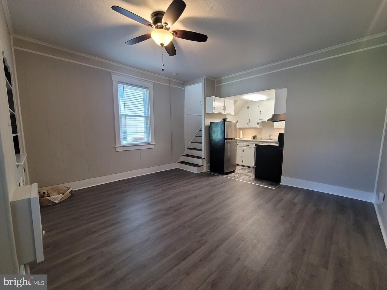 537 N Loudoun St #3 - Photo 4 of 19