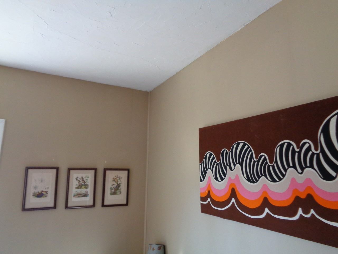Alder St #3 - Photo 5 of 13