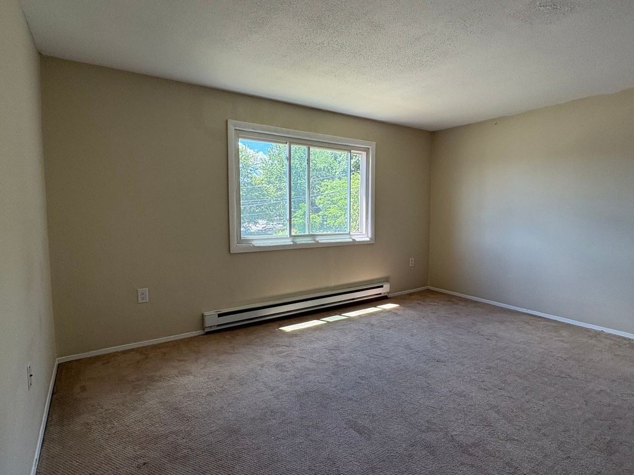 166 Gravel St #C12 - Photo 6 of 12