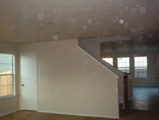 16138 Branching Oaks - Photo 3 of 9