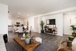 Vinifera - Photo 1 of 1