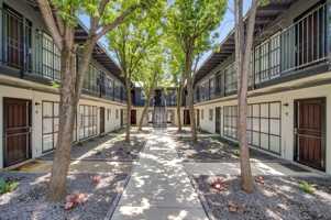 featured image of 3401 Balmoral Dr