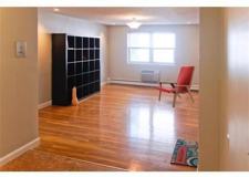 Chester St #8 - Photo 1 of 1