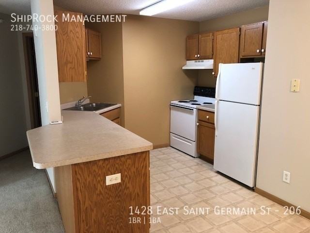 1428 E Saint Germain St #206 - Photo 6 of 11
