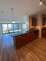 1259 S Michigan Ave - Photo 1 of 1