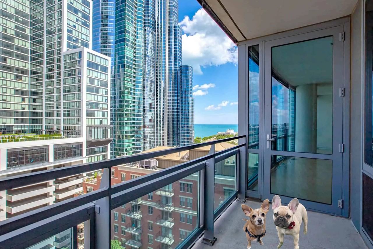 1263 S Michigan Ave - Photo 4 of 17