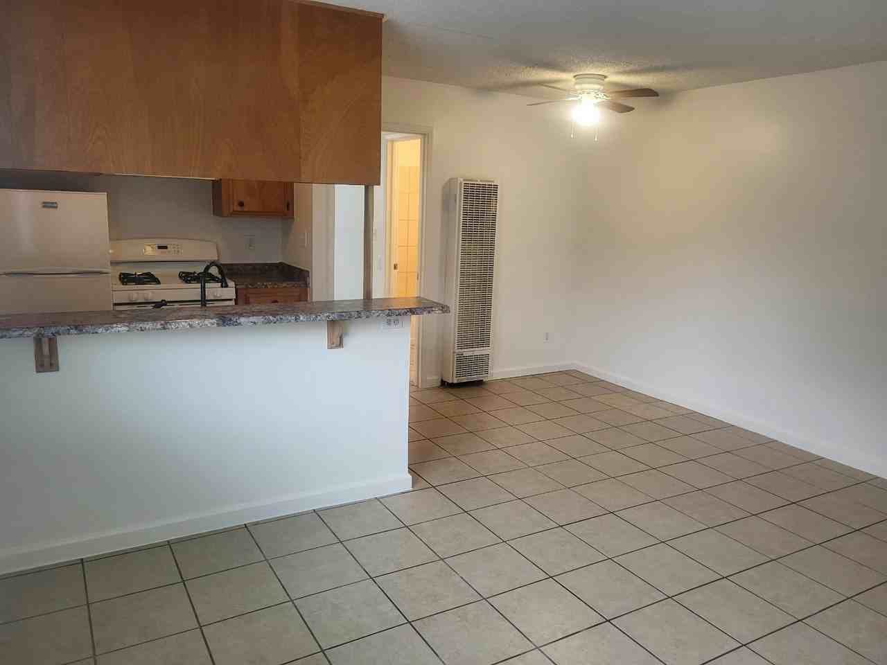741 North Lincoln Street, Unit 1 - Photo 2 of 7