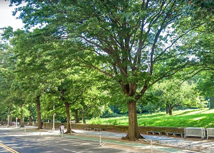 475 Central Park W - Photo 4 of 10