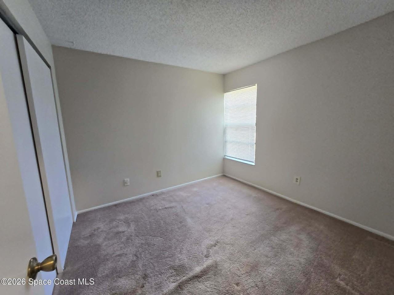 1697 Parakeet Ct - Photo 7 of 12
