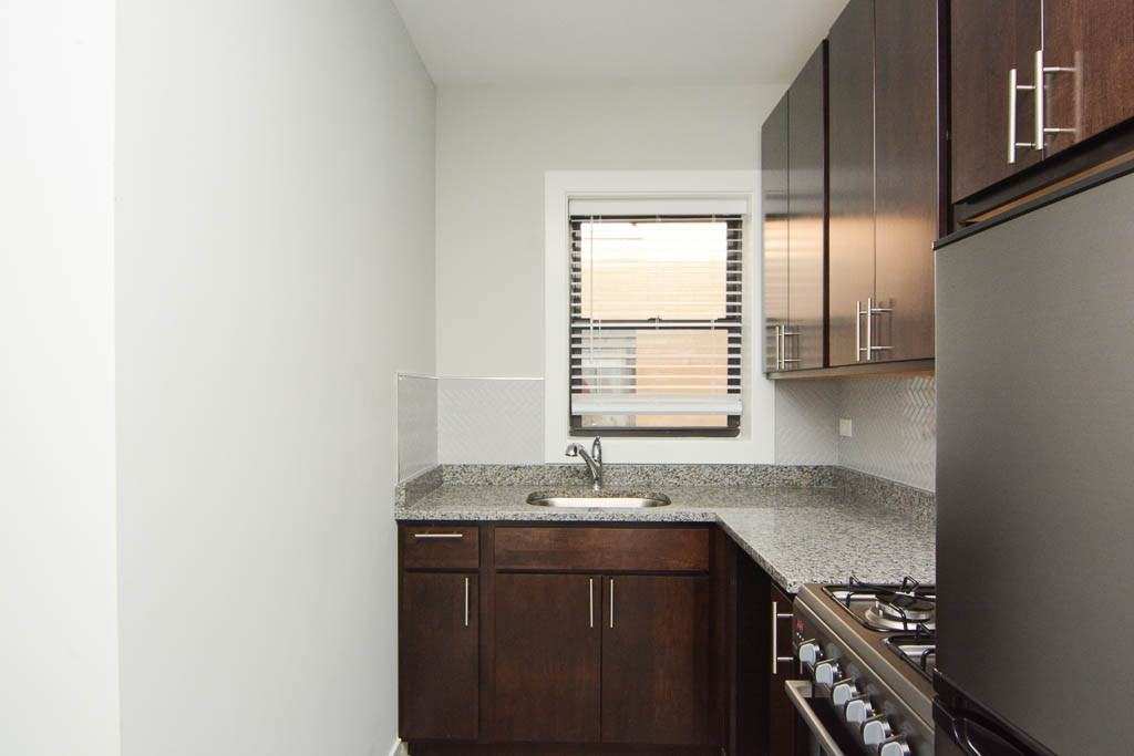 433 W Belden Ave #W201 - Photo 3 of 17