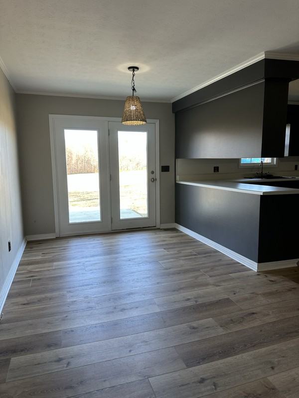 4579 Academy Rd - Photo 5 of 20