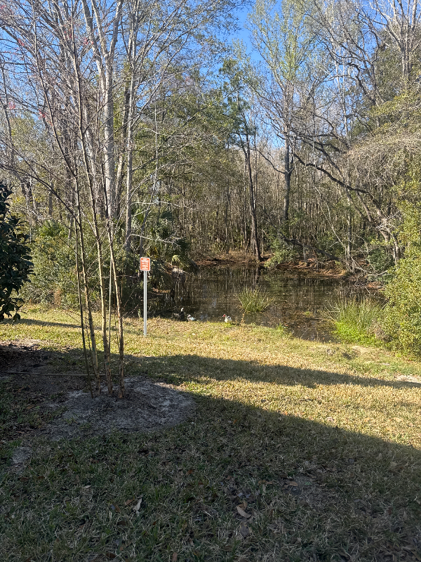 1607 Cluny Rd - Photo 5 of 12
