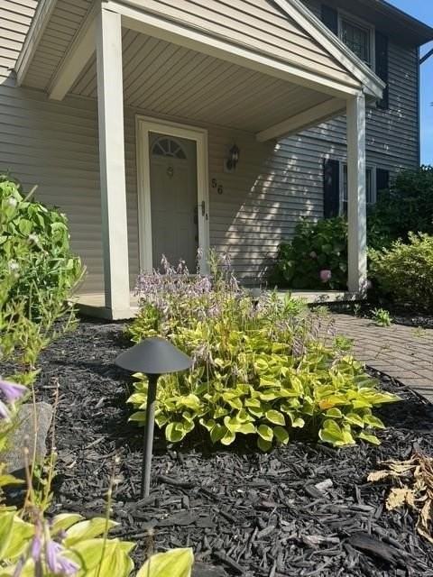 56 Tree Brook Dr - Photo 2 of 10