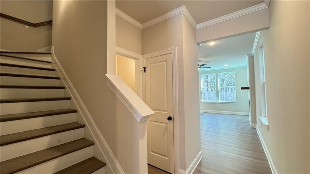 798 Stickley Oak Way - Photo 5 of 29