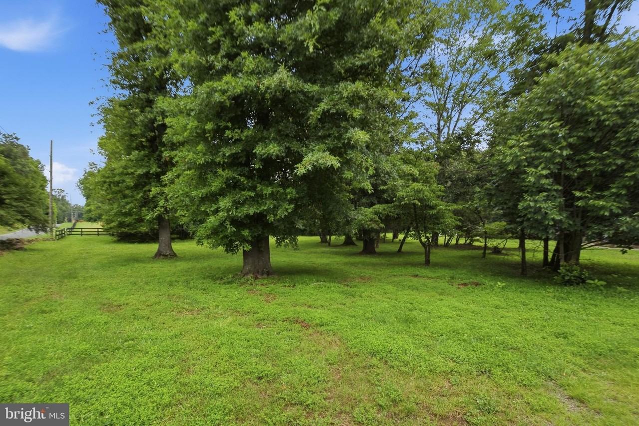 24674 Peach Orchard Ln - Photo 4 of 50