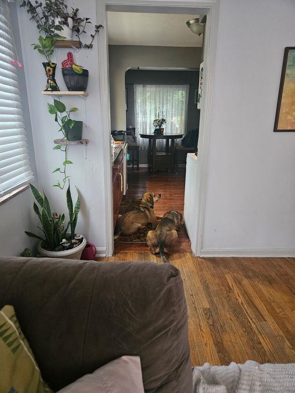 3614 Warren Rd - Photo 2 of 12