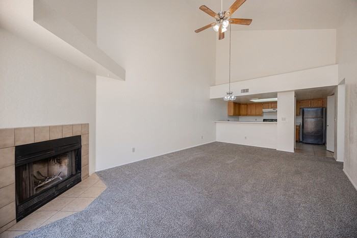 2019 W Lemon Tree Pl #1110 - Photo 5 of 24
