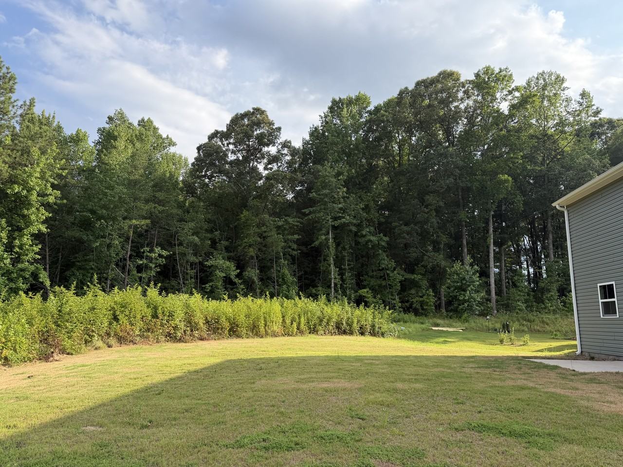2594 S Christo Ln #NA - Photo 5 of 18
