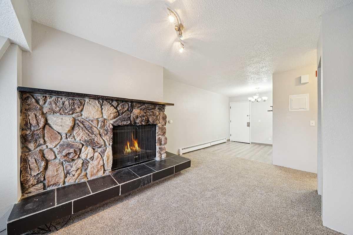 303 E 15th Ave - Photo 6 of 19