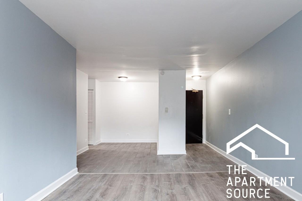 3825 N Pine Grove Ave #213 - Photo 4 of 8
