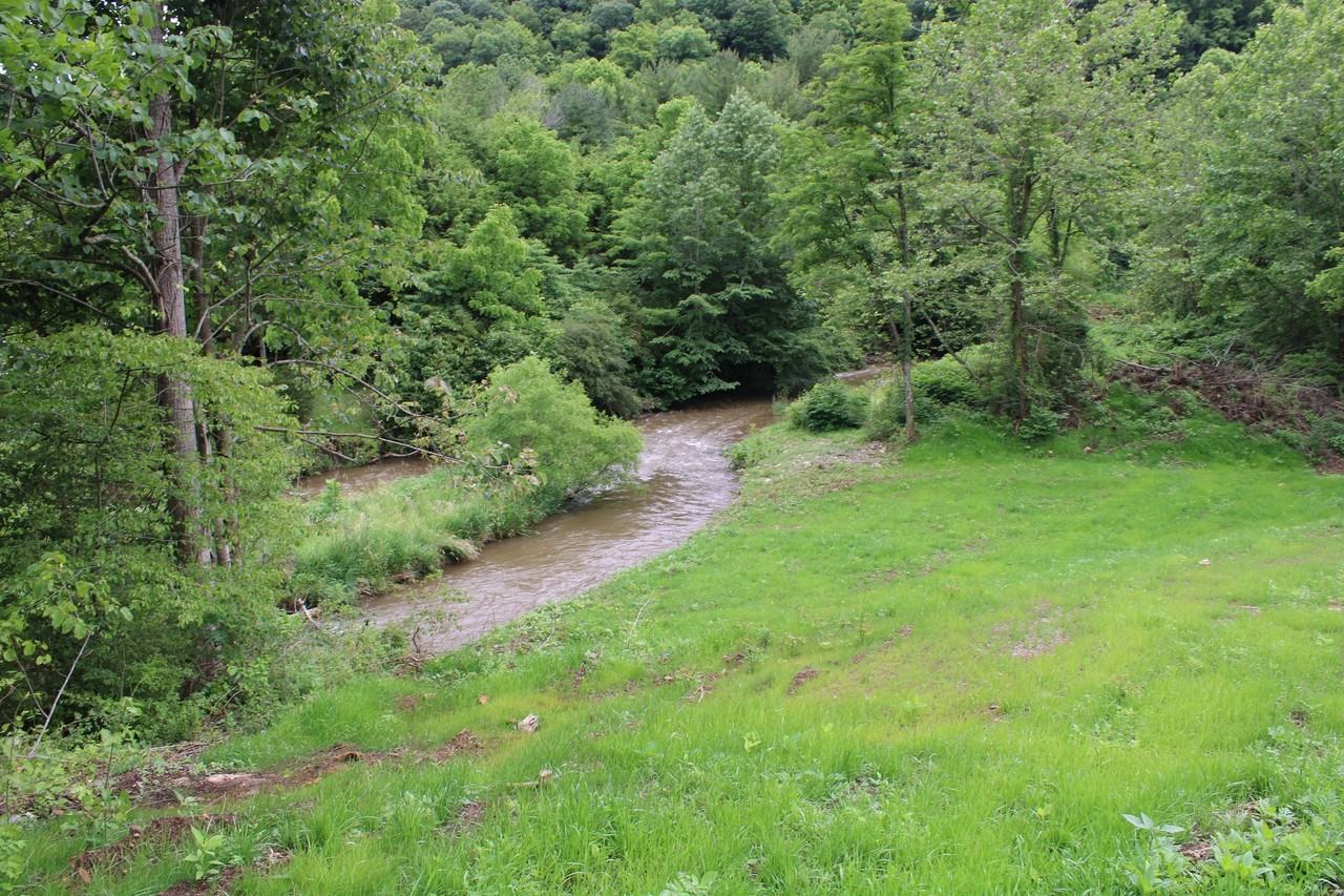 273 Old Railroad Grade Rd - Photo 6 of 14