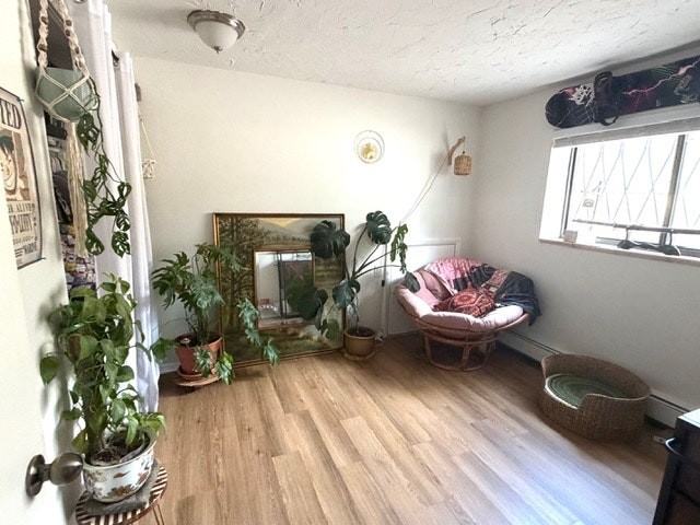 1008 Corona Street - Photo 4 of 10