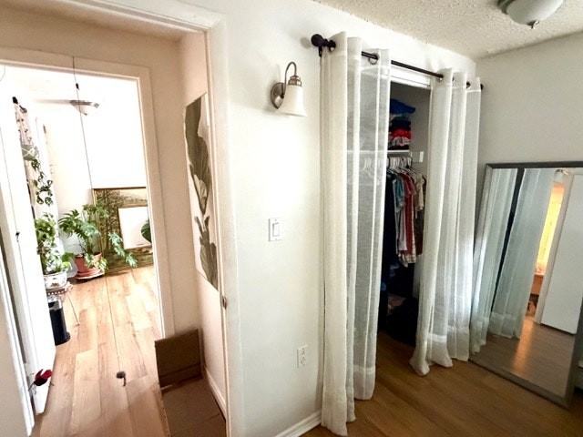 1008 Corona Street - Photo 5 of 10