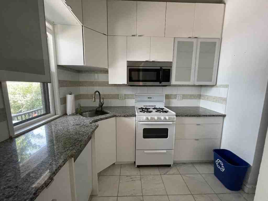14 Remington St #102 - Photo 7 of 14