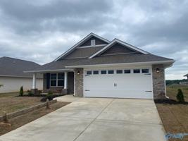 featured image of 213 Alonzo Toney Dr
