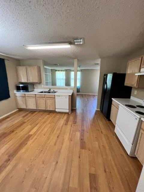 16541 Jasmine Springs Dr - Photo 5 of 21