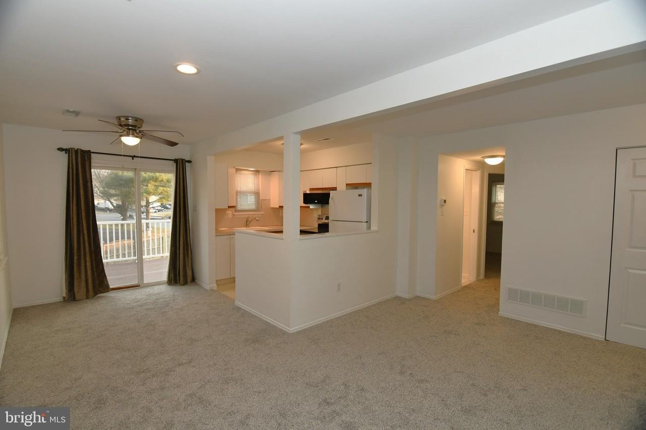 205B Cricklewood Cir - Photo 6 of 13