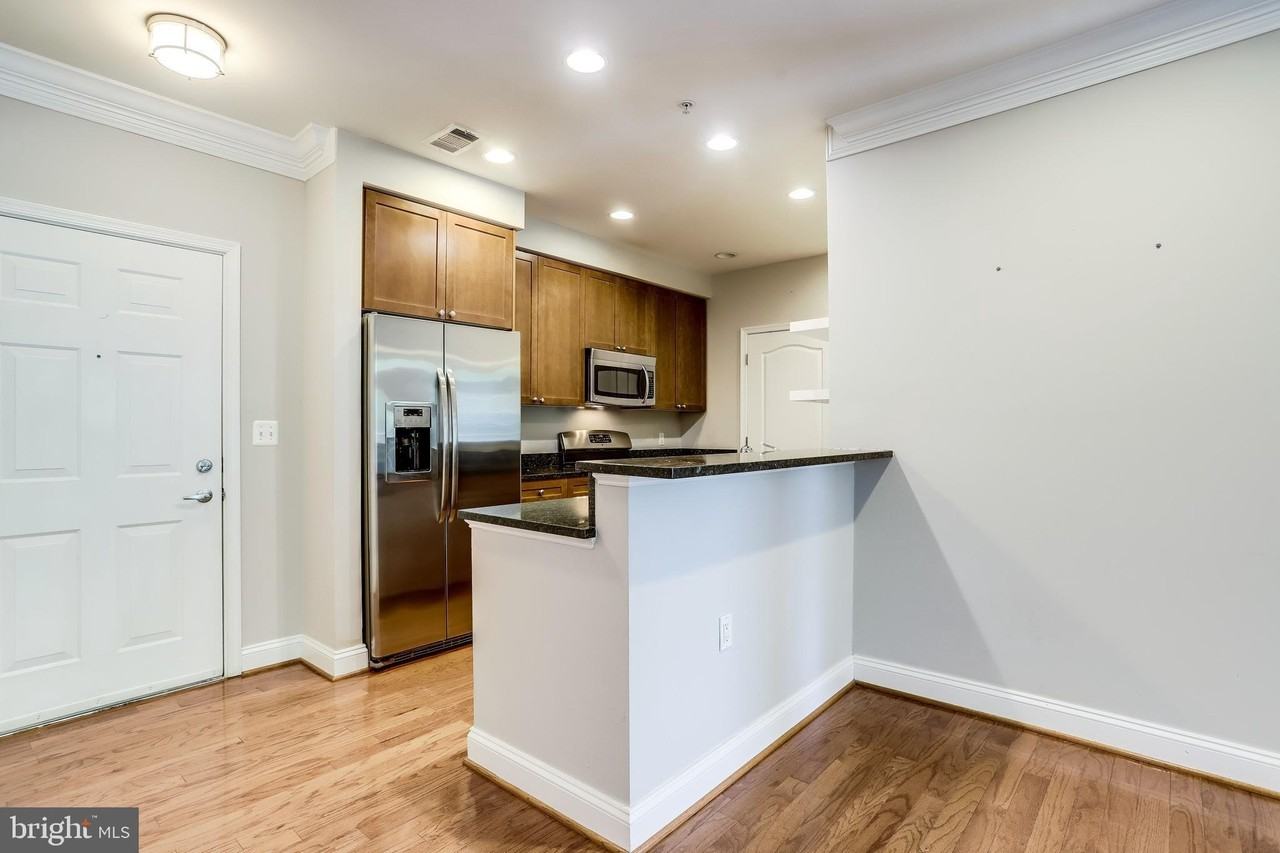 1115 Cameron St #208 - Photo 5 of 50