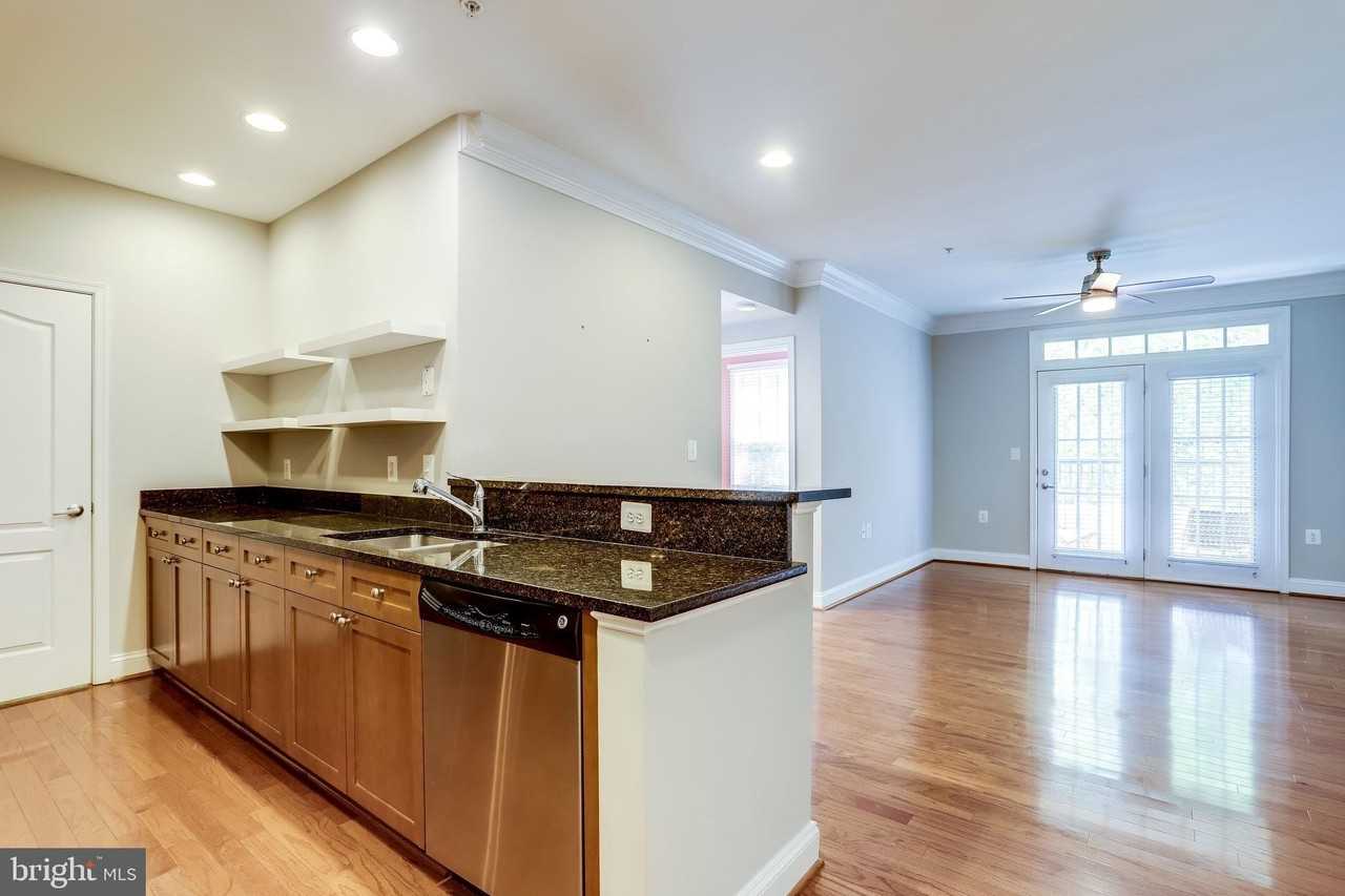 1115 Cameron St #208 - Photo 6 of 50