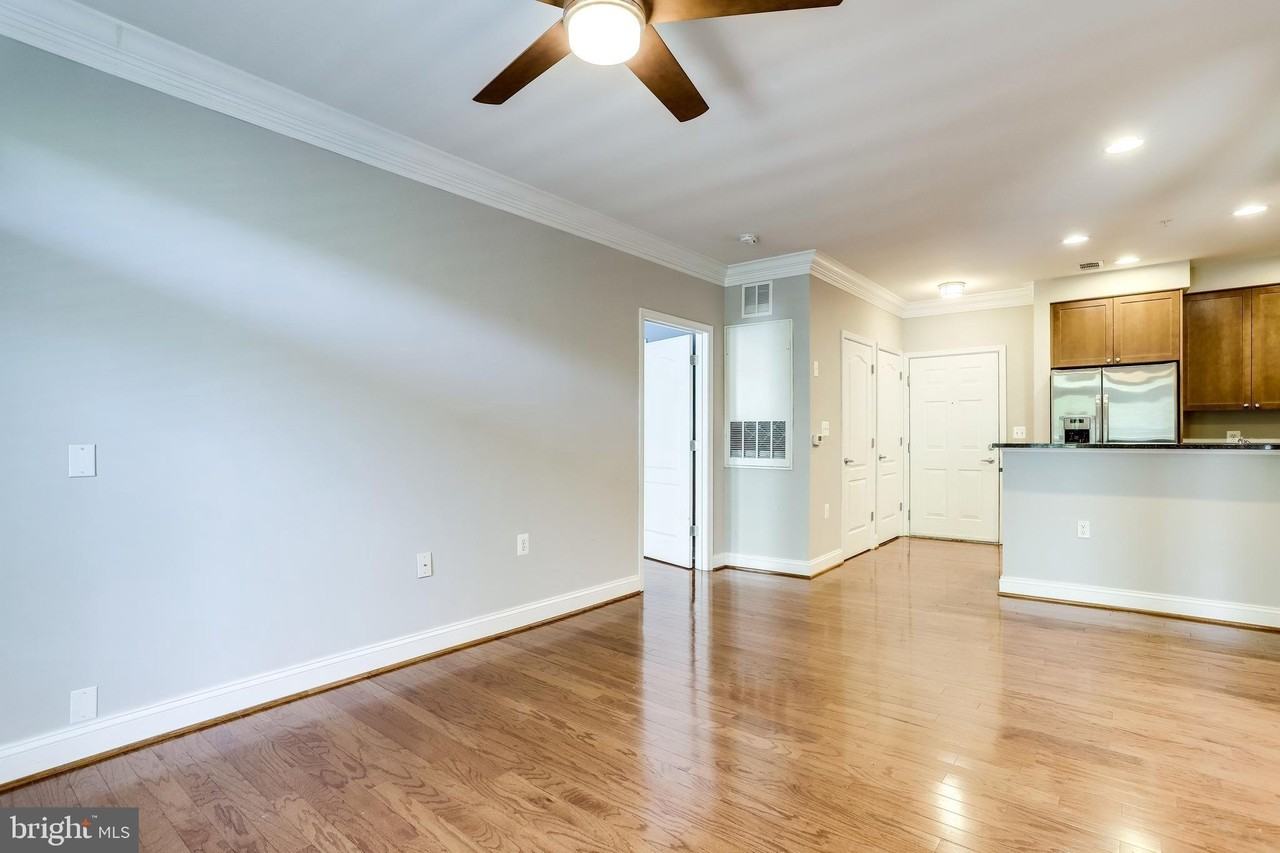 1115 Cameron St #208 - Photo 7 of 50
