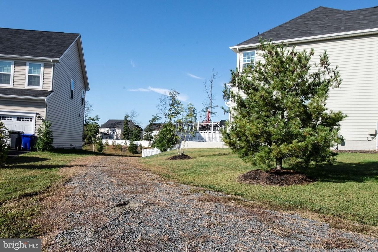 12908 Hoadly Manor Dr - Photo 2 of 13