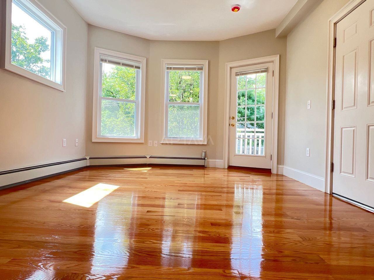 48 Waterhouse St #2