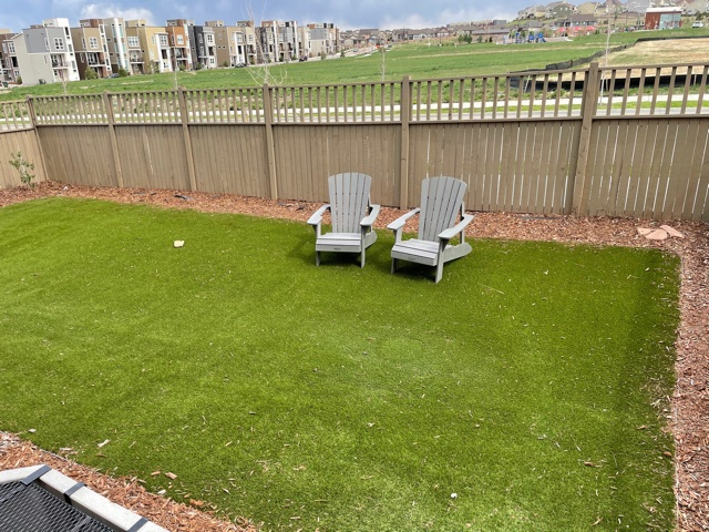 3550 Fennel St Castle Rock, Co #Co - Photo 7 of 26