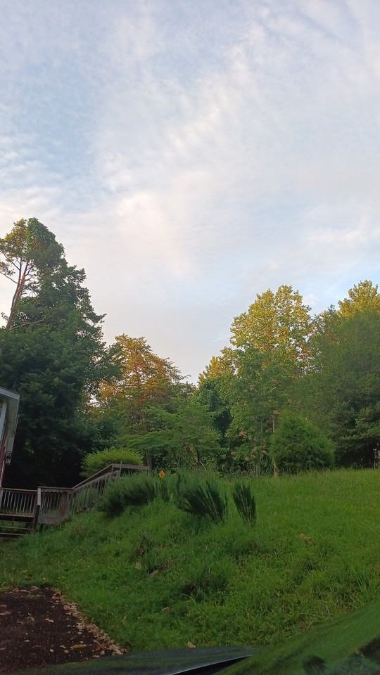 284 Kate Rd - Photo 5 of 5