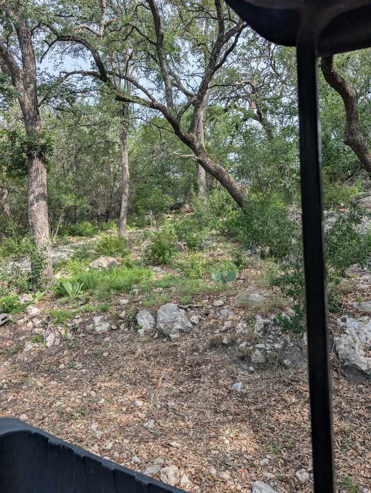 1130 Whitetail Dr #NA - Photo 6 of 22