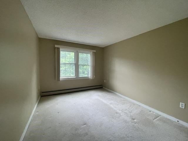 8 Northbrook Dr #807 - Photo 7 of 17