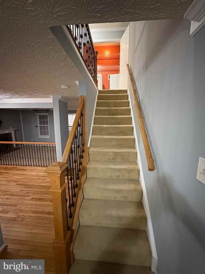 10811 Topbranch Ln - Photo 4 of 22