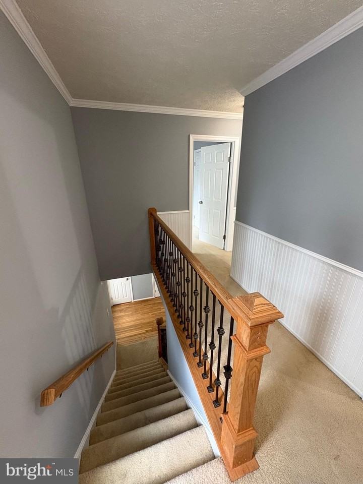 10811 Topbranch Ln - Photo 7 of 22