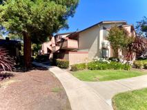 254 Hackamore Cmn - Photo 1 of 1