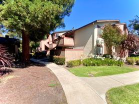 254 Hackamore Cmn - Photo 1 of 1