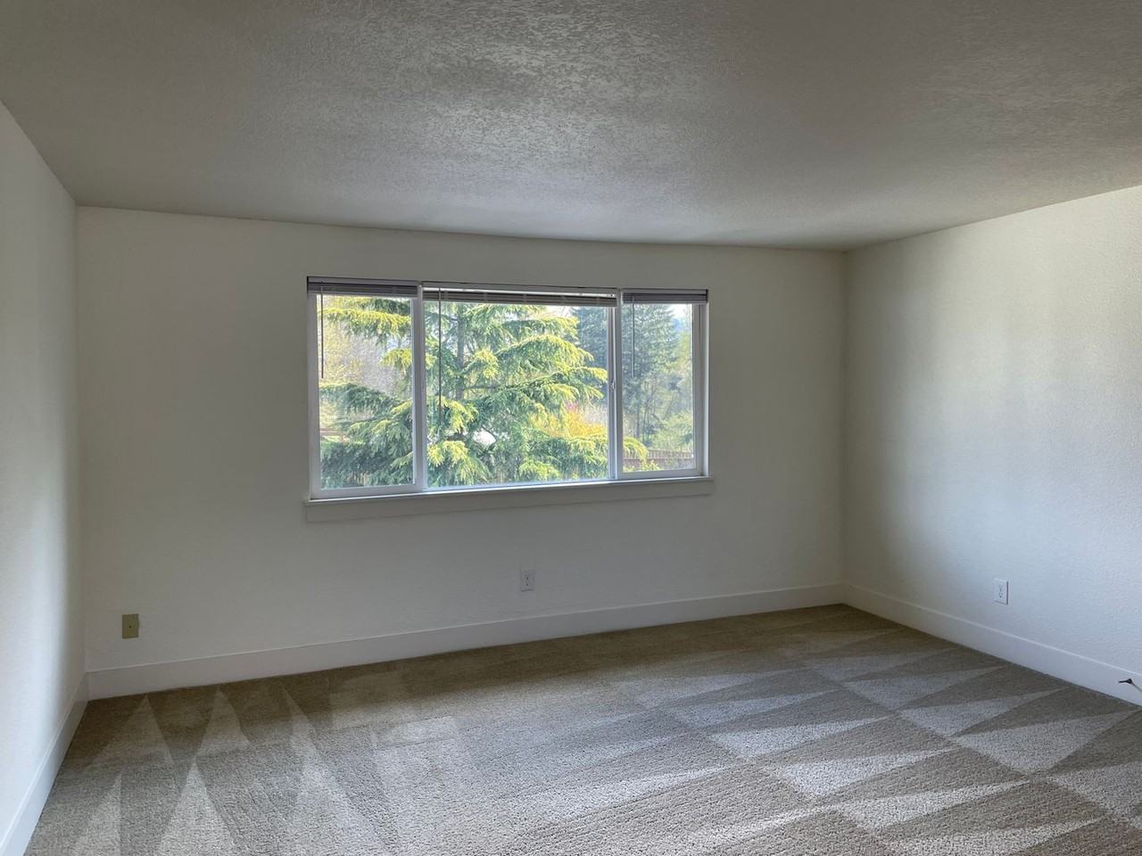 DW1712 - Woodland Heights - Photo 4 of 50